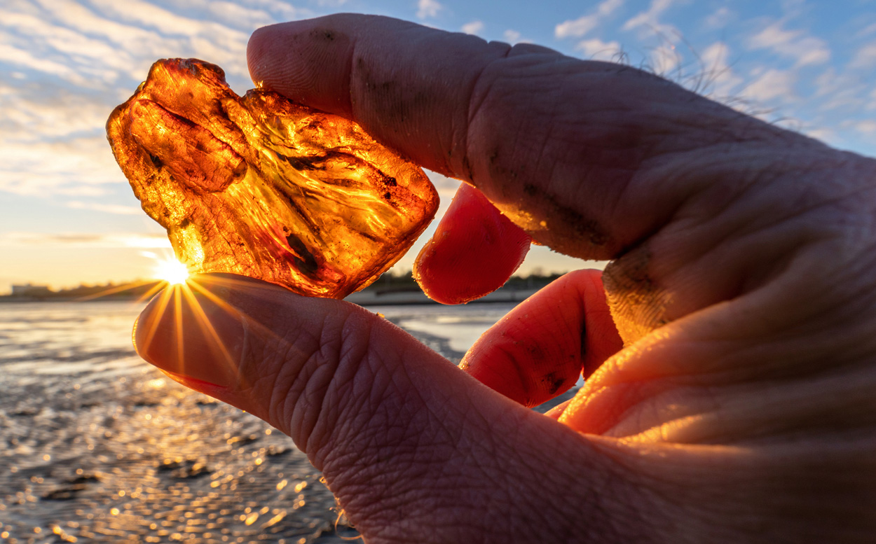 Bernstein verrät Tsunami vor 115 Millionen Jahren