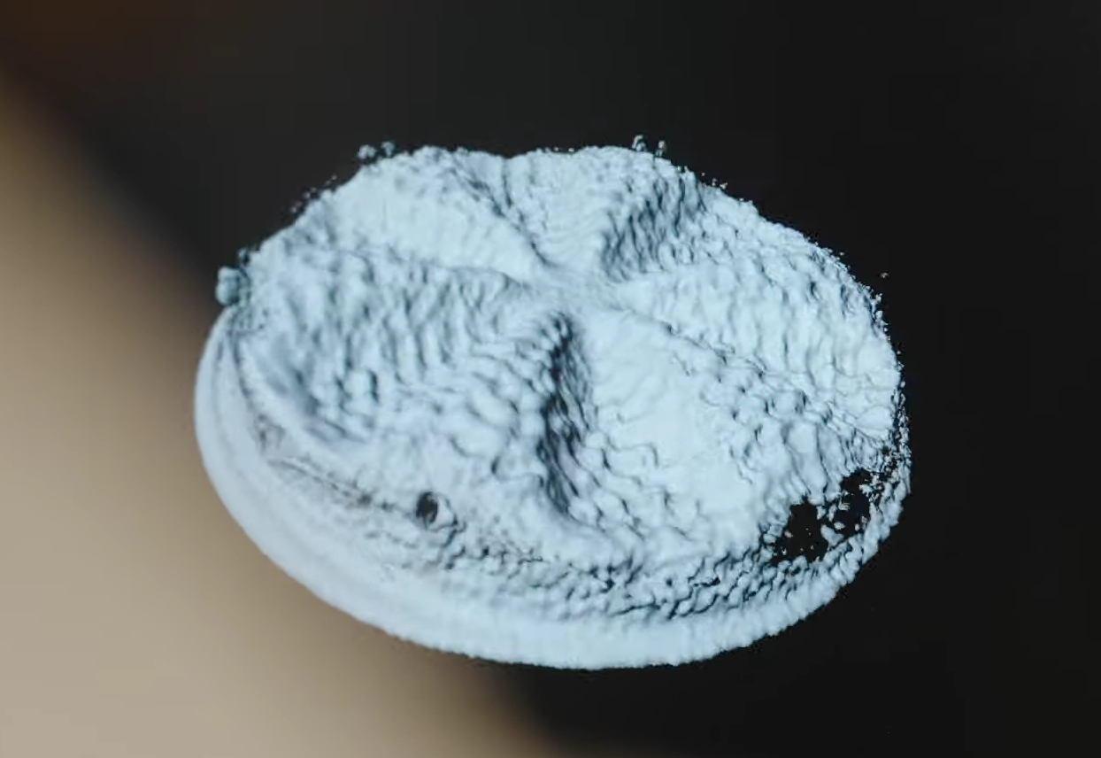 Bio-inspirierter Leichtbau