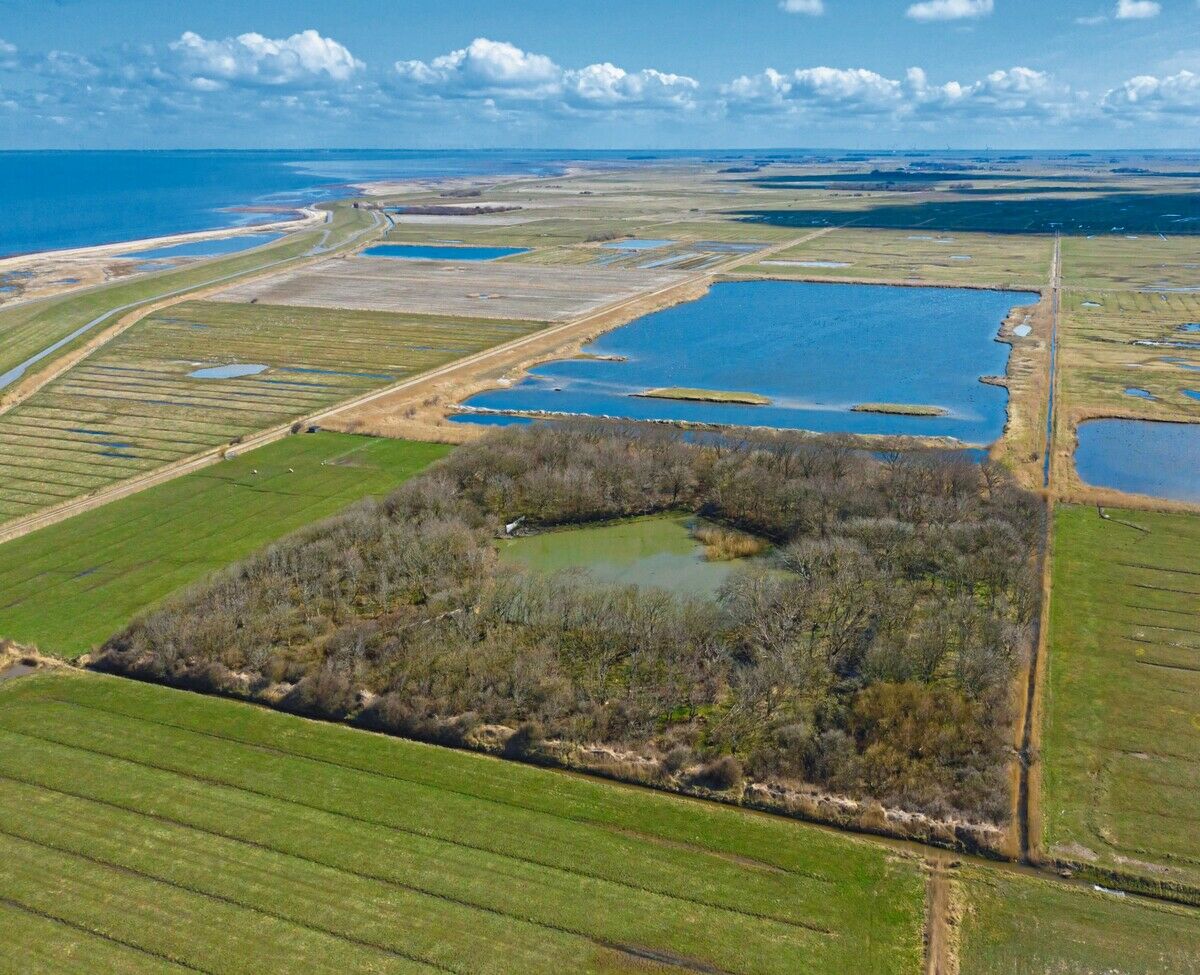 Die Vogelwäldchen der Nordsee