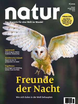 Freunde der Nacht