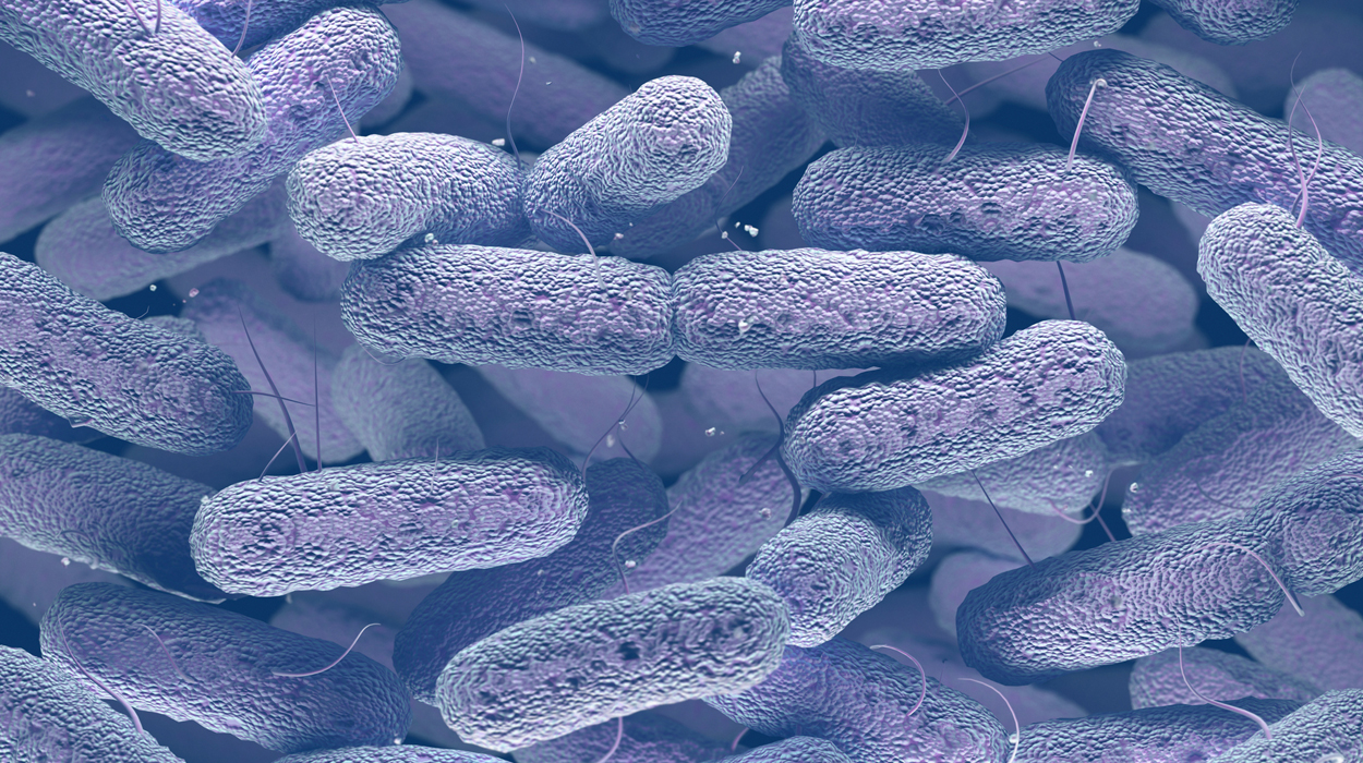 Warum die Erreger der Pest wiederholt ausstarben