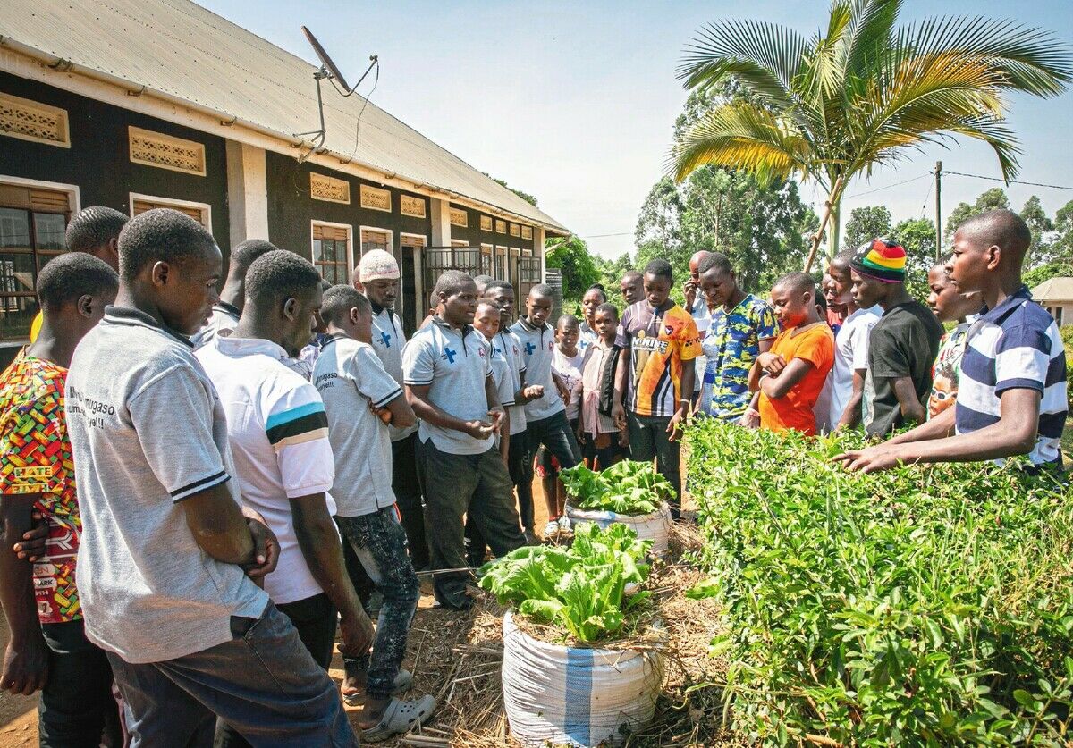 Mobile Farmschulen in Uganda: Die Hoffnung wächst