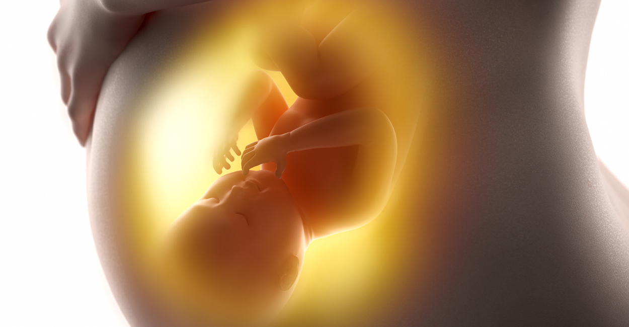 Warum Kinder von übergewichtigen Müttern häufig dick und krank werden