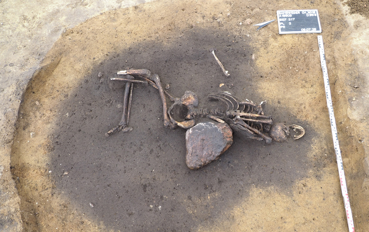 3000 Jahre alte Bronzezeitsiedlung in Sachsen-Anhalt entdeckt
