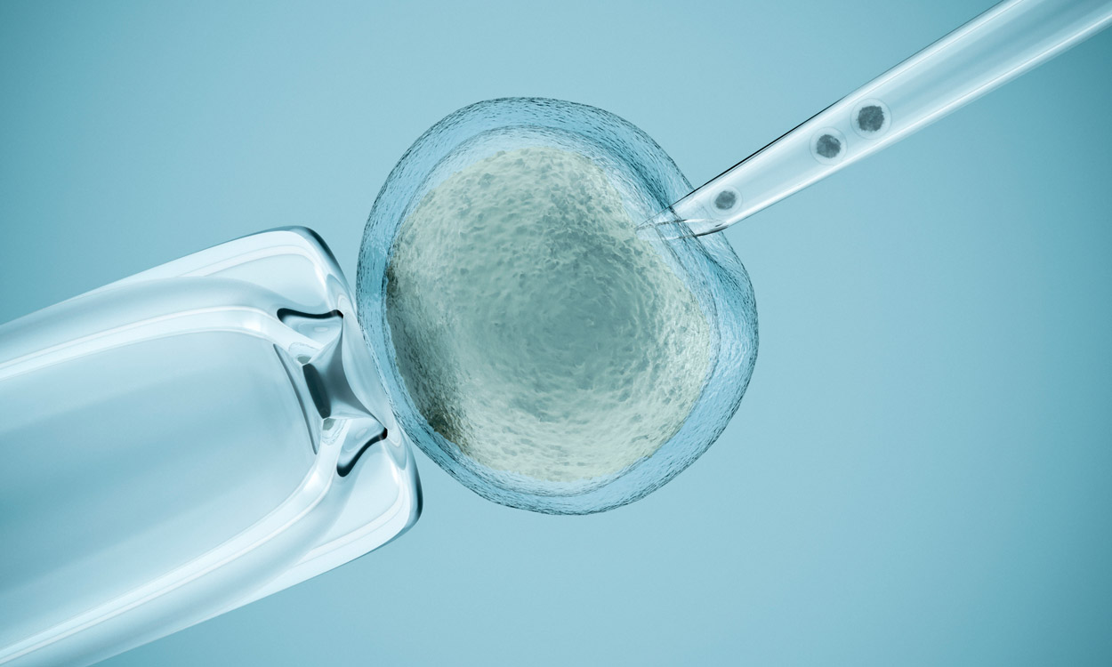 Erstmals Babys mit gespendeten Mitochondrien geboren