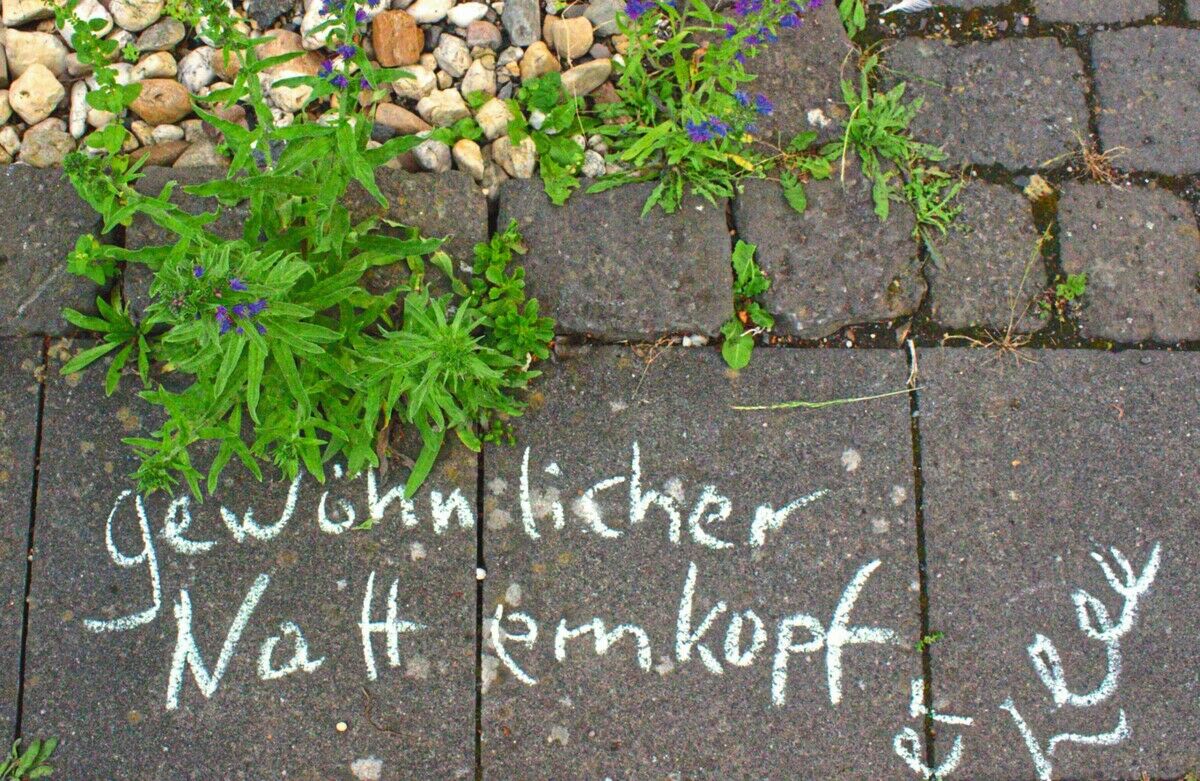 Krautschau: Mit offenen Augen durch die Stadt