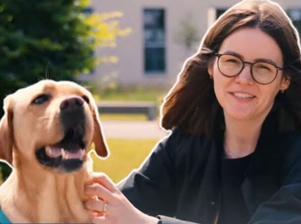 Denken Menschen und Hunde ähnlich?