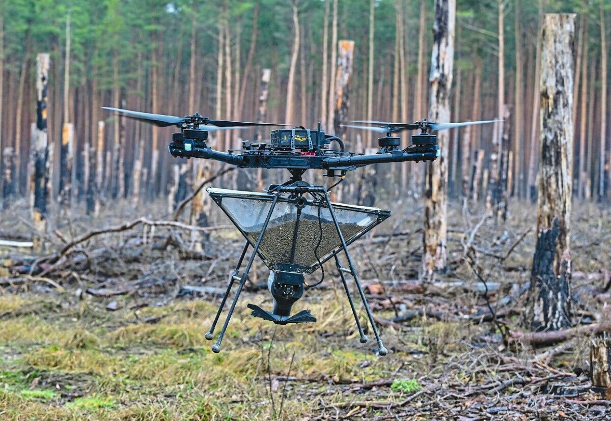 Der Wald wird smart