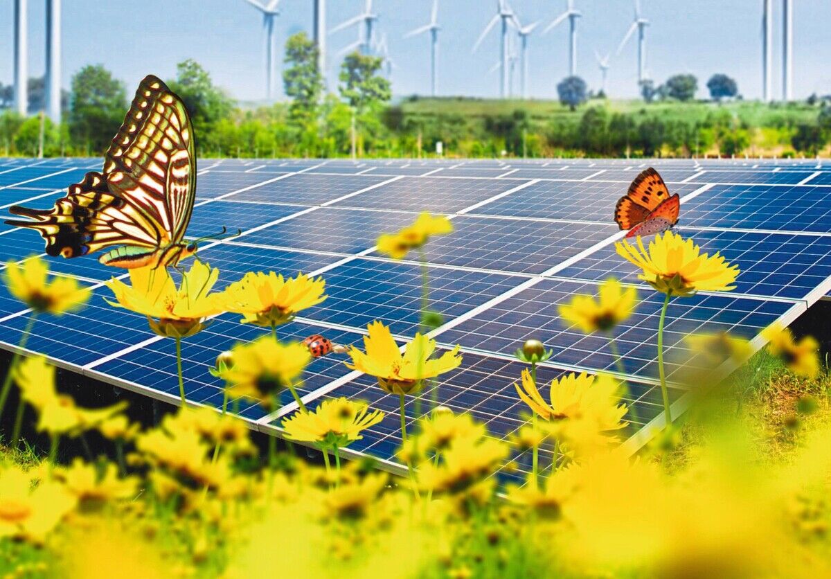 Bodengesundheit unterm Solarpanel