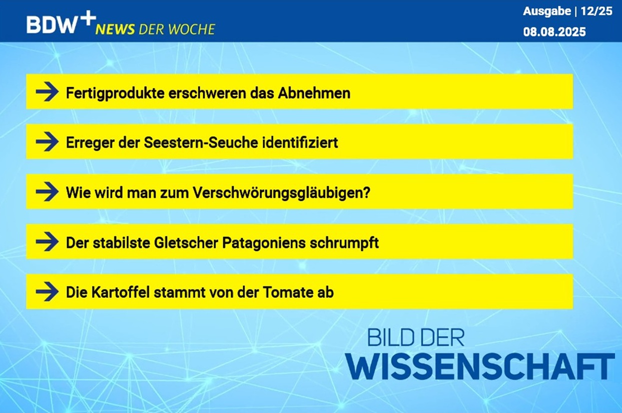 News der Woche 08.08.2025