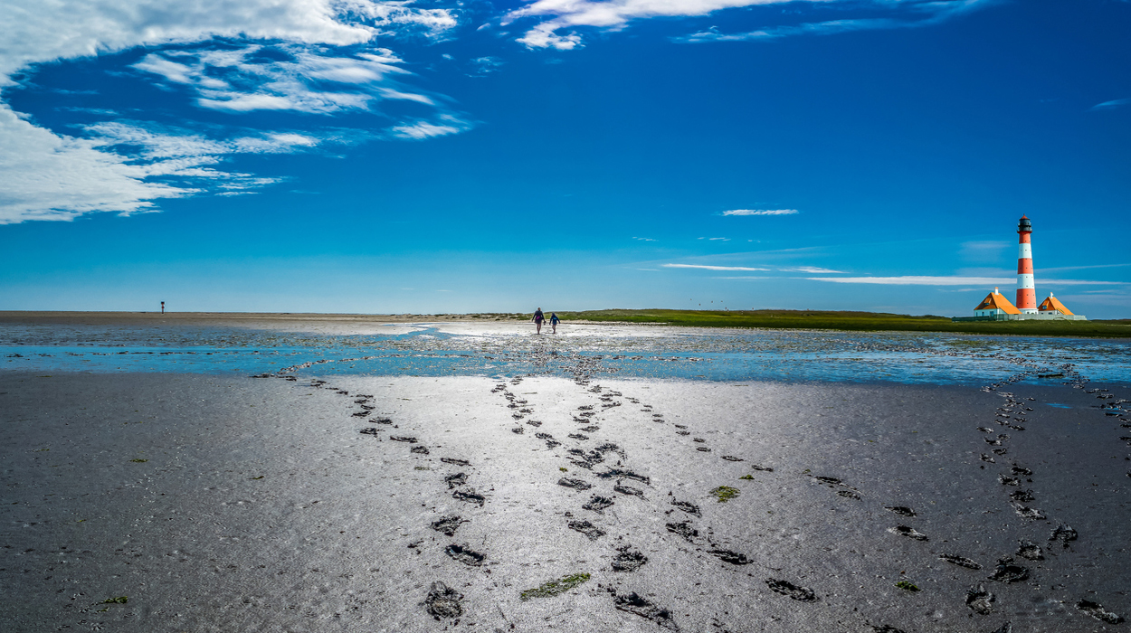 Nord- und Ostsee: Wie wir die Meere im Urlaub schützen können