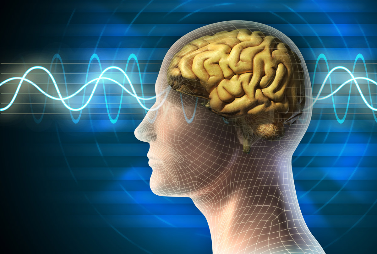 Psychotherapie verändert das Gehirn