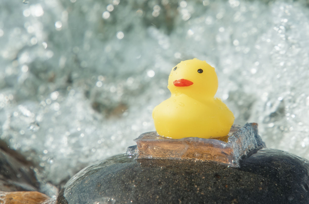 Starke Unterwasserklebstoffe mit KI-Hilfe