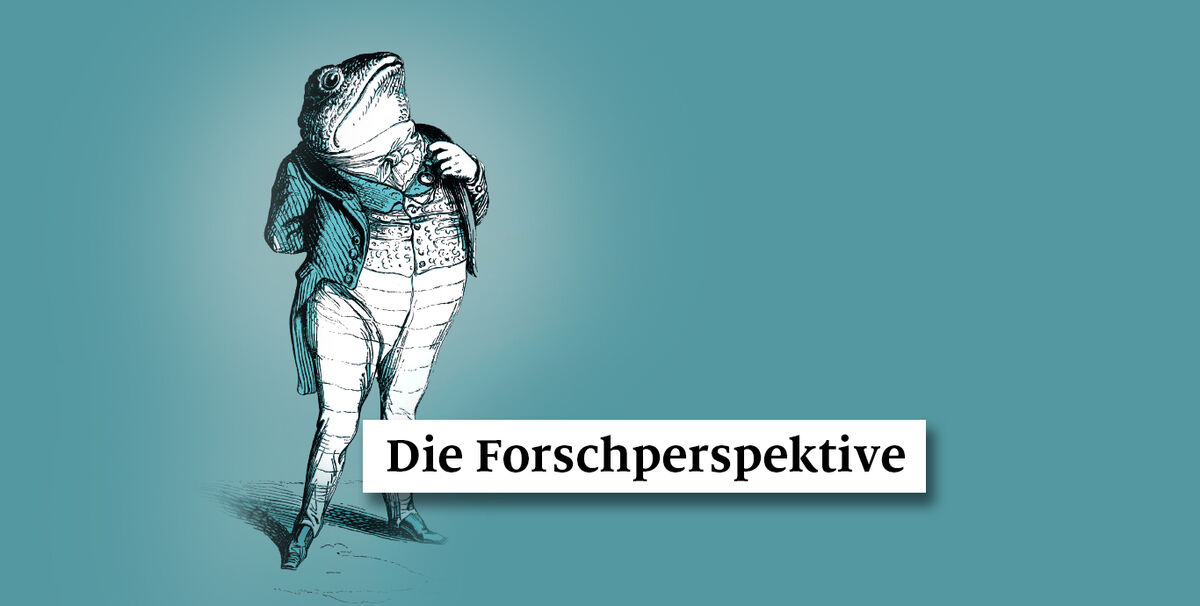 Gefangen im Netzwerk