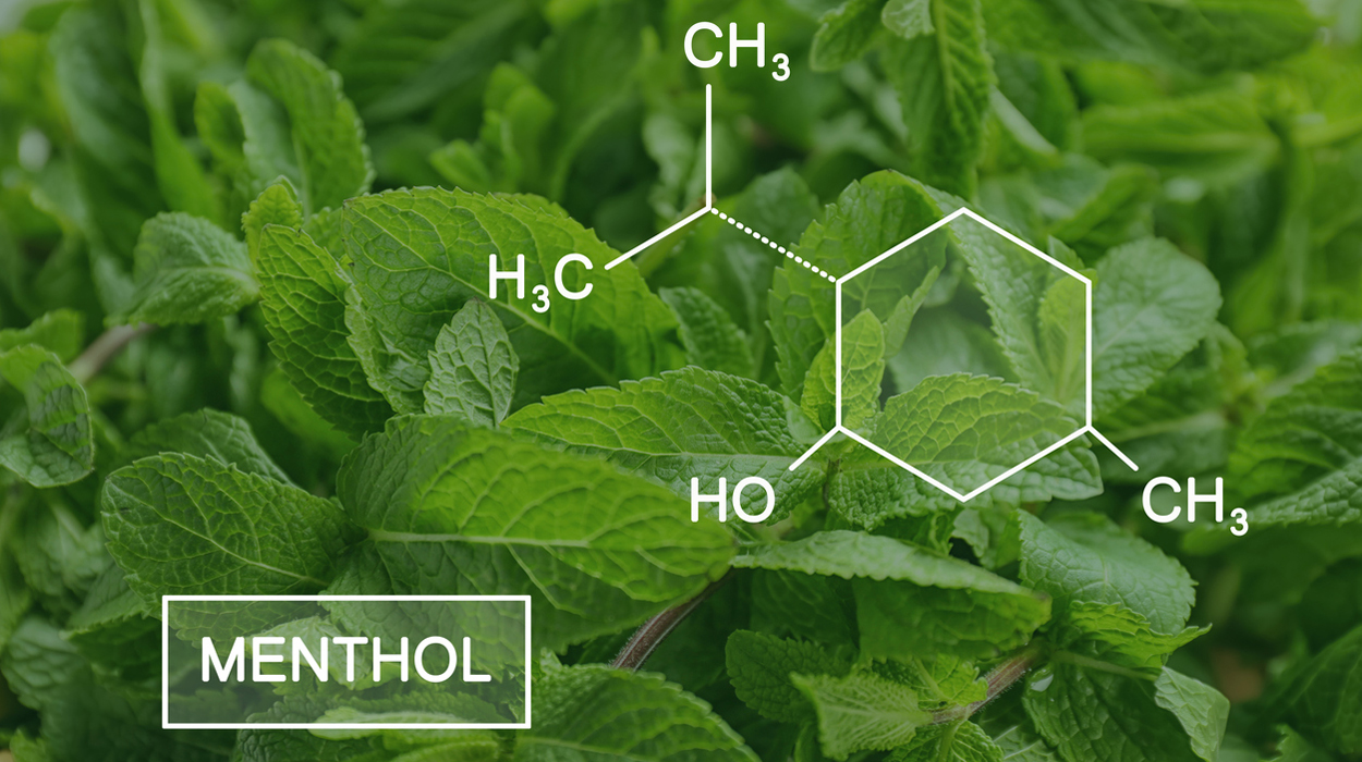 „Grünes“ Menthol aus Abfällen