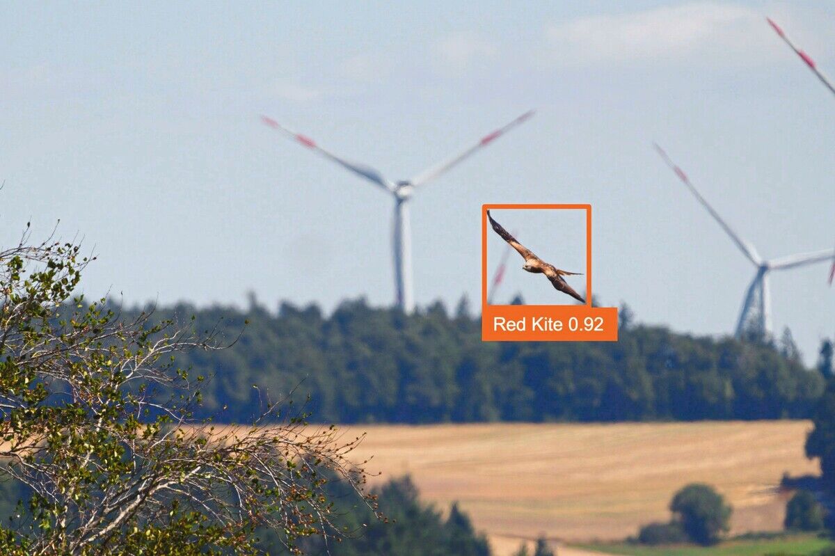 Windrad-Stopp für Adler & Co.