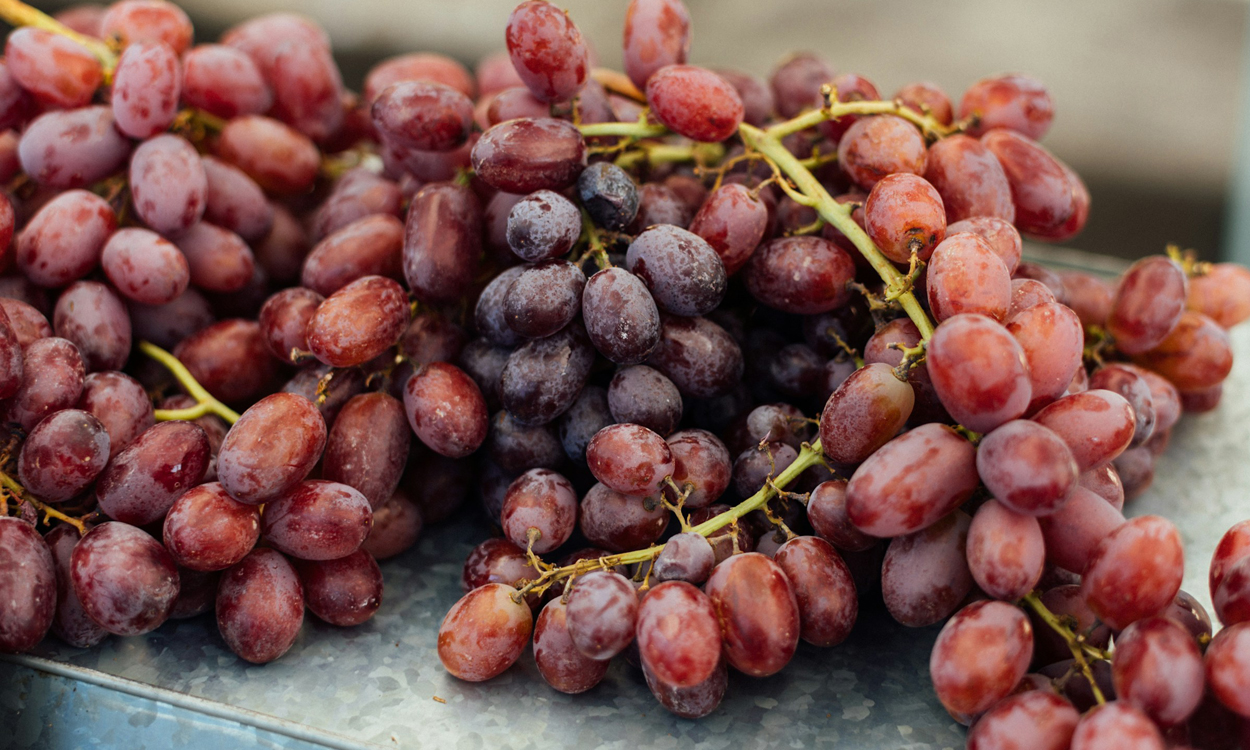 Wein war in der Bronze- und Eisenzeit wertvoller als Oliven