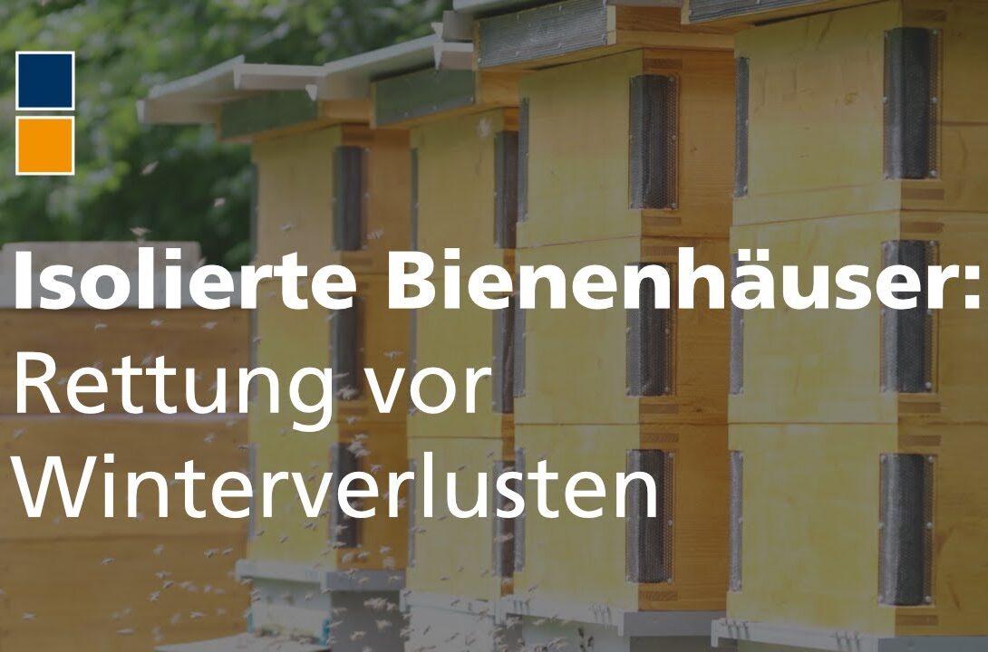 Forschung fürs Bienenwohl