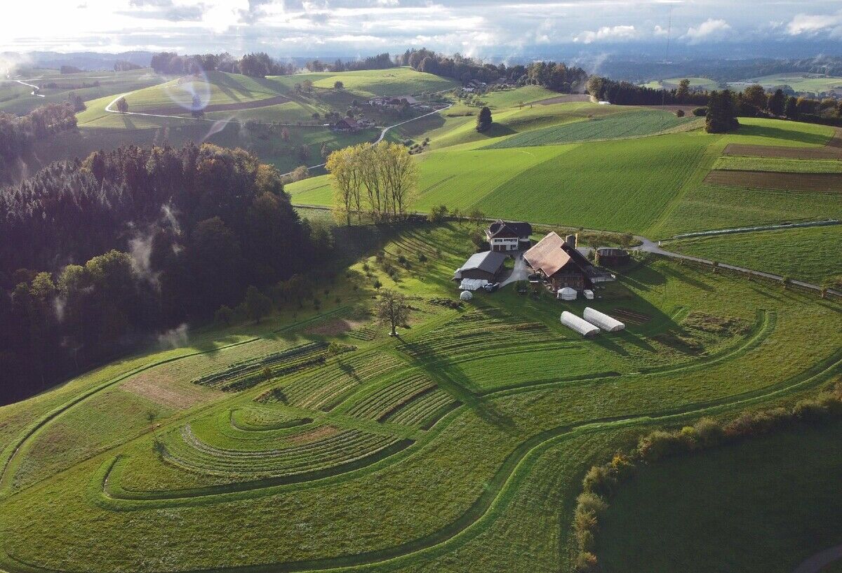 Keyline Design: Wo das Gras grüner ist