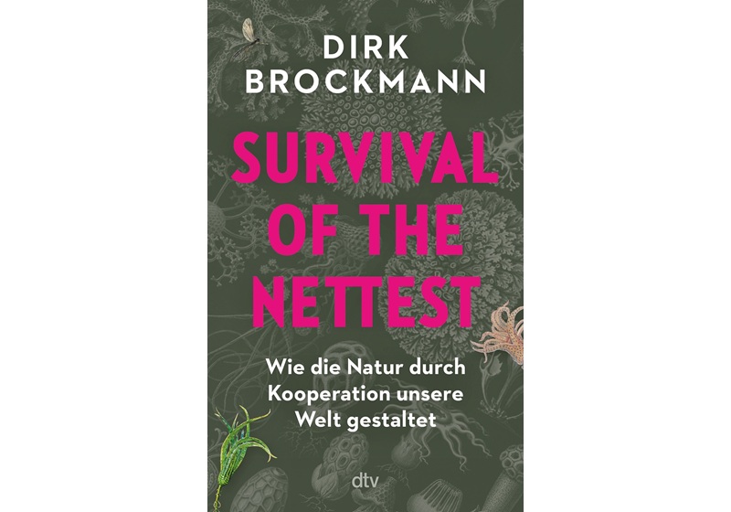 Das informativste Buch