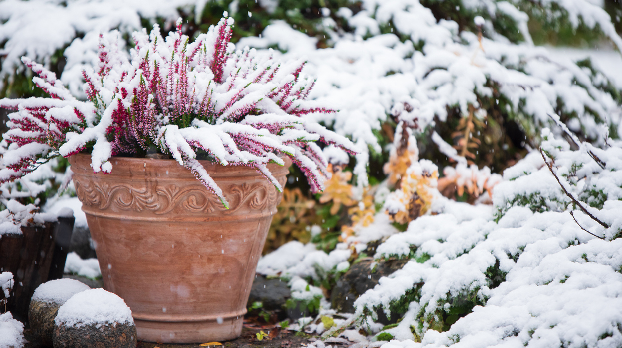 So lässt sich der Garten sicher über den Winter bringen