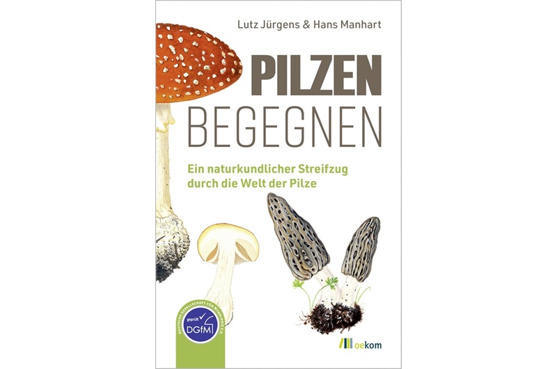 Ein Jahr in Pilzen