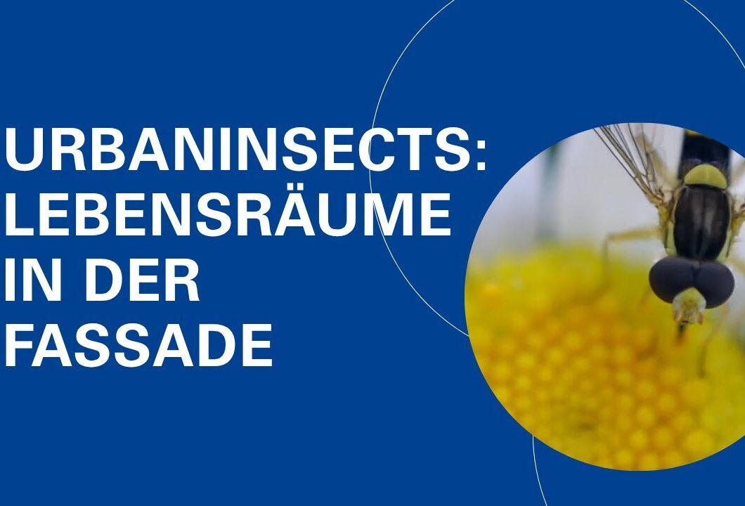 Fassaden für die Artenvielfalt