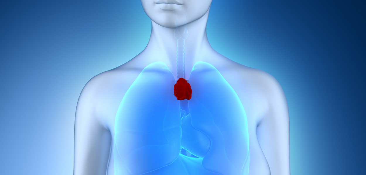 Wie sich das Immunsystem verjüngen lässt