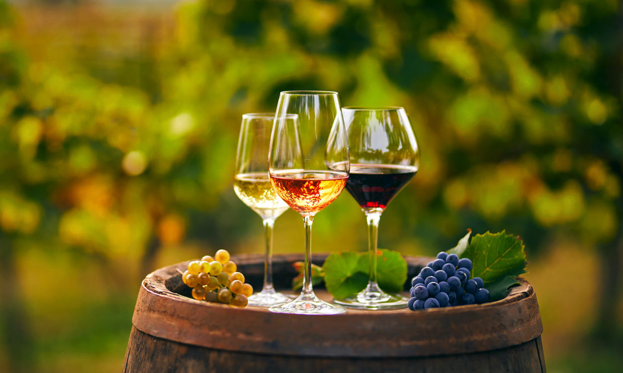Wie unsere Vorfahren Wein herstellten
