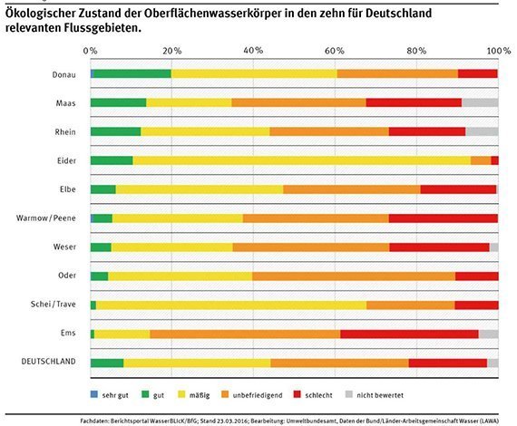 Flusszustand