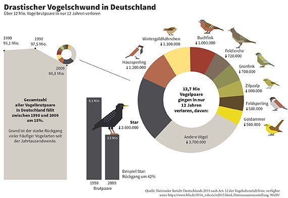 Vogelrückgang