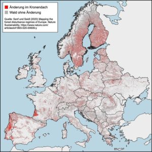 Kronendachkarte