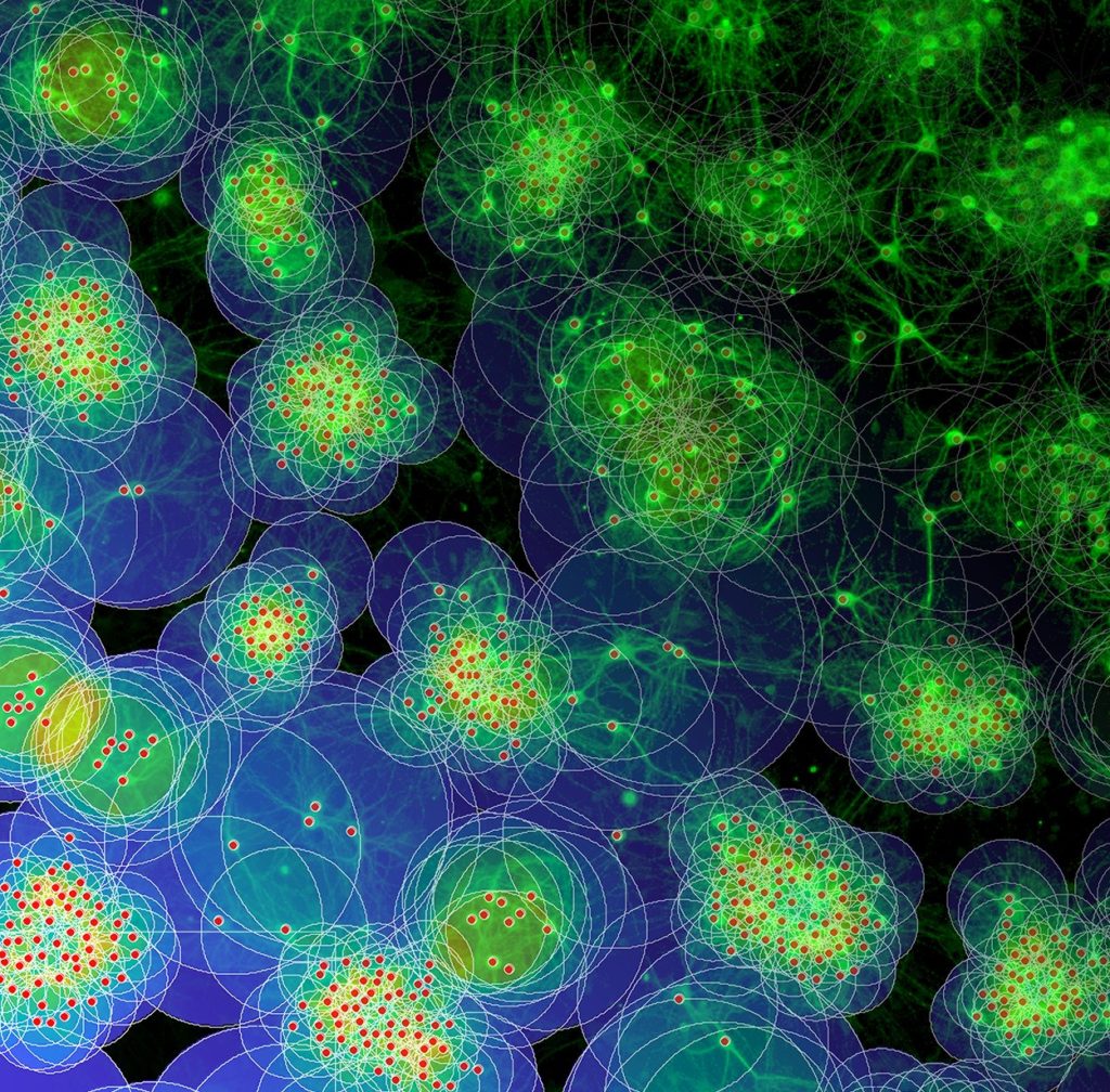 Neuronencluster