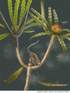 Artikelbild