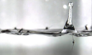 Bewegungen von Wasserläufern beim Einschlag von Regentropfen