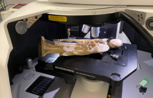 Eine kunstvoll geschnitze Figur aus Elfenbein unter dem Mikroskop in einem inVia Raman-Mikrospektrometer