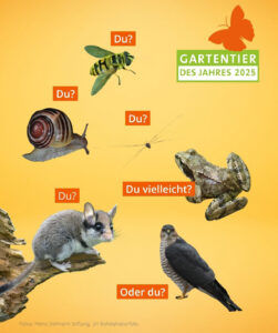 Gartentier des Jahres Überblick