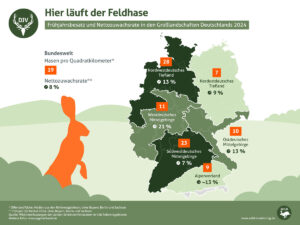 Feldhasenbestände Statistik