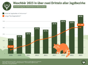 Grafik zeigt die Entwicklung des Waschbär-Vorkommens in Deutschland zwischen 2006 und 2023