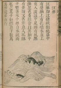 Holzschnitt-Illustration aus der Ming-Dynastie aus „Sancai Tuhui“ zeigt ein historisches Gedicht und eine Zeichnung eines Flussdelfins