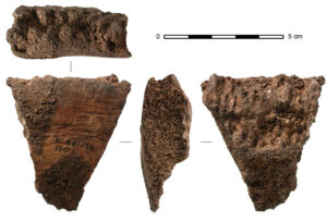 Fotos von verschiedenen Seiten von einem Fragment eines Finnwal-Wirbels