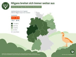 Grafik zeigt die Verbreitung der Nilgans in Deutschland