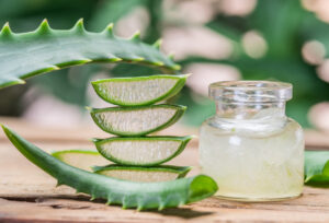 Foto von aufgeschnittenen Aloe vera Blättern und einem Glas voller Gel