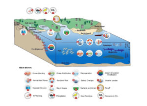 Grafik zeigt, welche Meeres- und Küstenökosysteme am Mittelmeer untersucht wurden