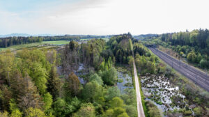 Luftaufnahme eines von Bibern geprägten Gebiets