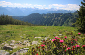 Panoramafoto der Allgäuer Alpen