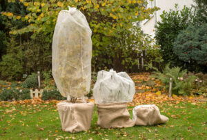 Foto von in Vlies eingehüllten Pflanzen in einem herbstlichen Garten