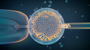 Foto einer Biopsie bei einem in vitro befruchteten Embryo