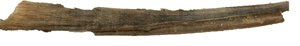 62244_Pfropfen_Baylor_University.jpg