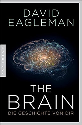 B-11-17 The Brain.jpg
